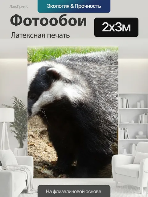 200 × 300 см · Латексная печать