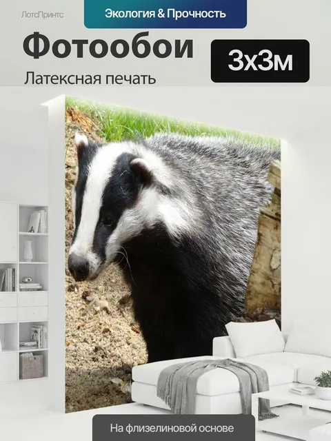 300 × 300 см · Латексная печать