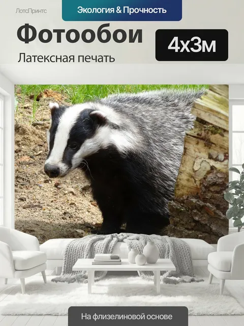 400 × 300 см · Латексная печать