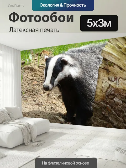 500 × 300 см · Латексная печать