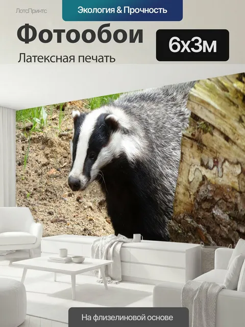 600 × 300 см · Латексная печать