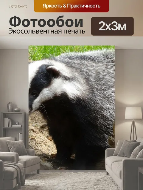 200 × 300 см · Экосольвентная печать