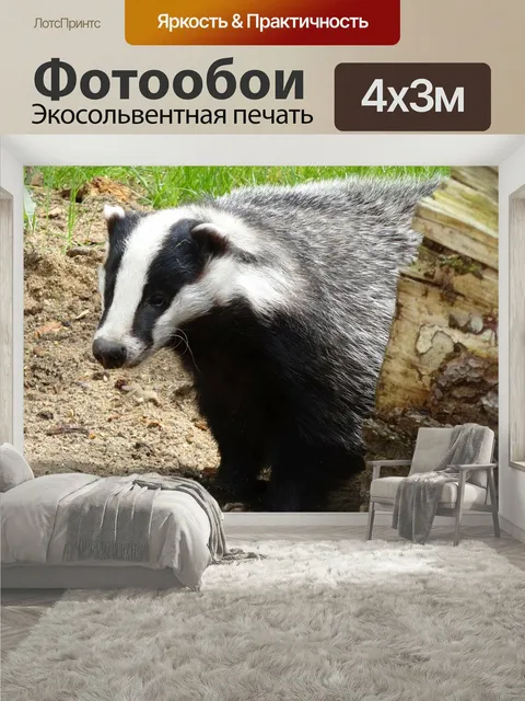 400 × 300 см · Экосольвентная печать