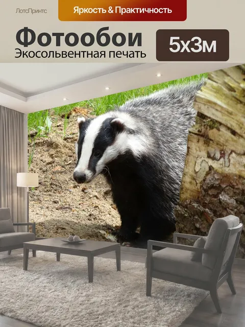 500 × 300 см · Экосольвентная печать