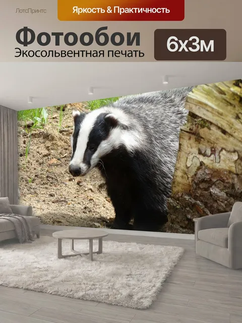 600 × 300 см · Экосольвентная печать