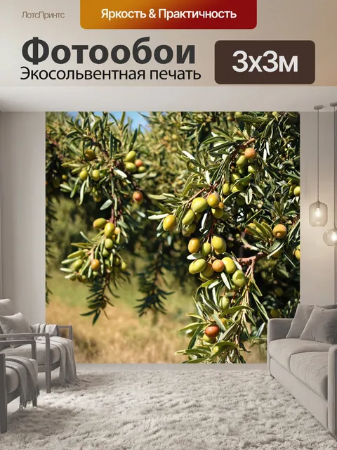 Фотообои Греция, оливки на деревьях во время сбора урожая, традиционные методы, радость работников, солнечные лучи, чи…