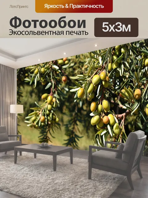 Фотообои Греция, оливки на деревьях во время сбора урожая, традиционные методы, радость работников, солнечные лучи…