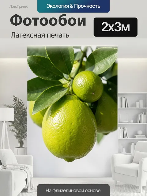 200 × 300 см · Латексная печать