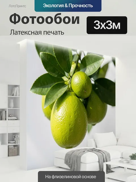 300 × 300 см · Латексная печать
