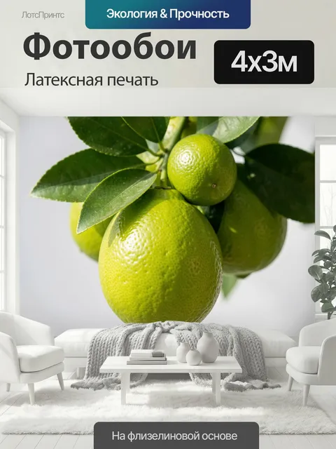 400 × 300 см · Латексная печать