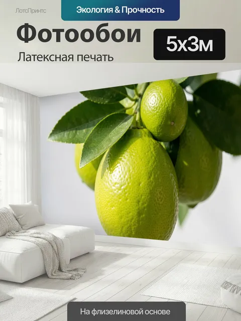 500 × 300 см · Латексная печать