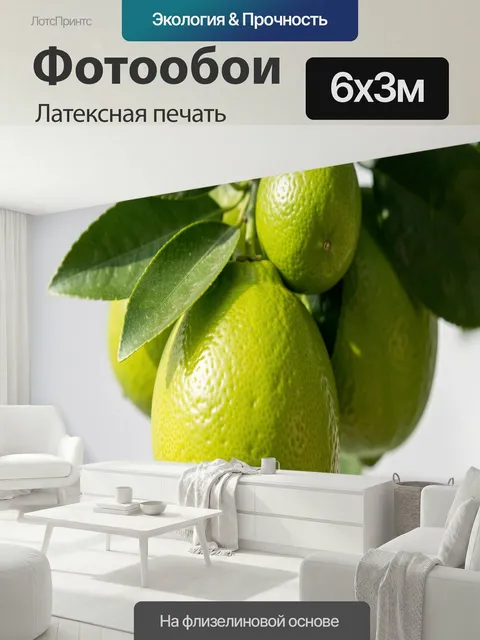 600 × 300 см · Латексная печать