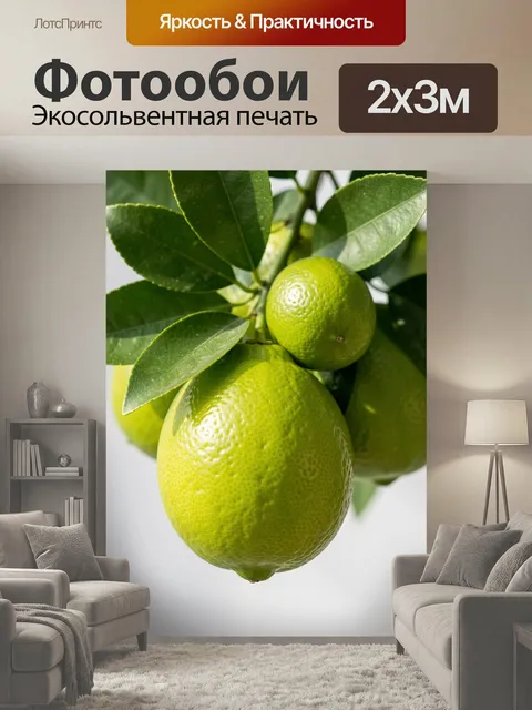 200 × 300 см · Экосольвентная печать