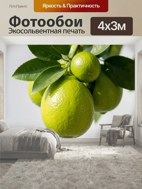 400 × 300 см · Экосольвентная печать