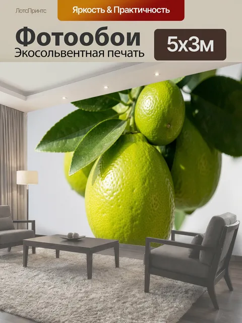 500 × 300 см · Экосольвентная печать