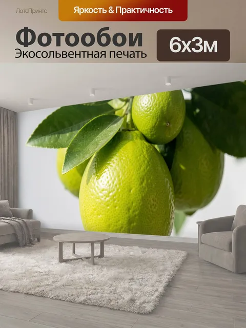 600 × 300 см · Экосольвентная печать
