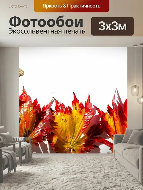 Фотообои Японский клен, кленовые листья, листья