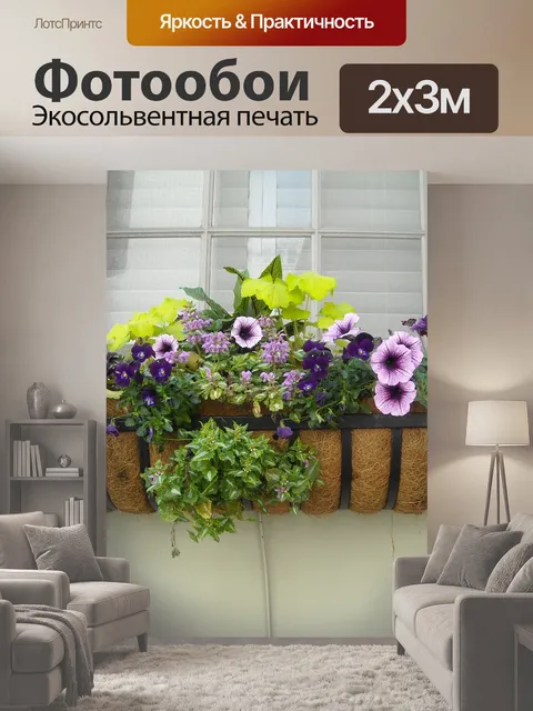 200 × 300 см · Экосольвентная печать