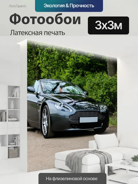 300 × 300 см · Латексная печать