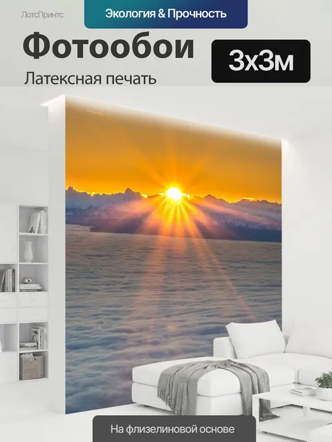 300 × 300 см · Латексная печать