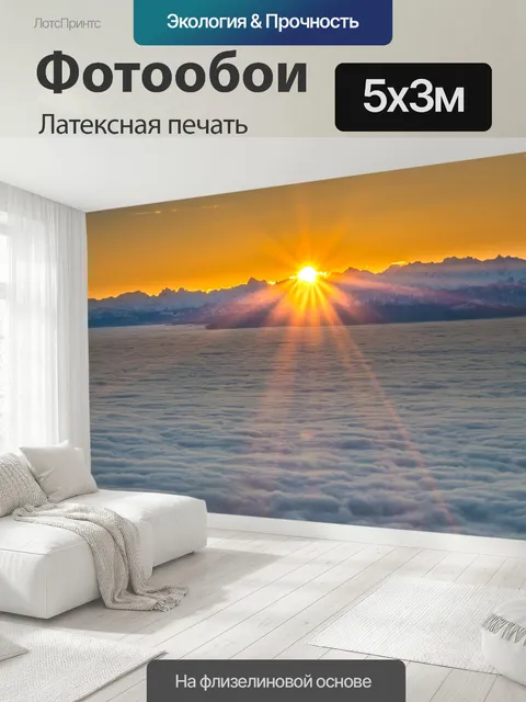 500 × 300 см · Латексная печать