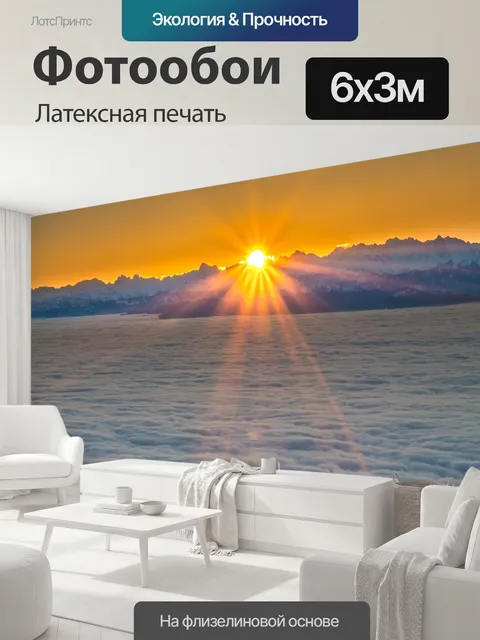 600 × 300 см · Латексная печать