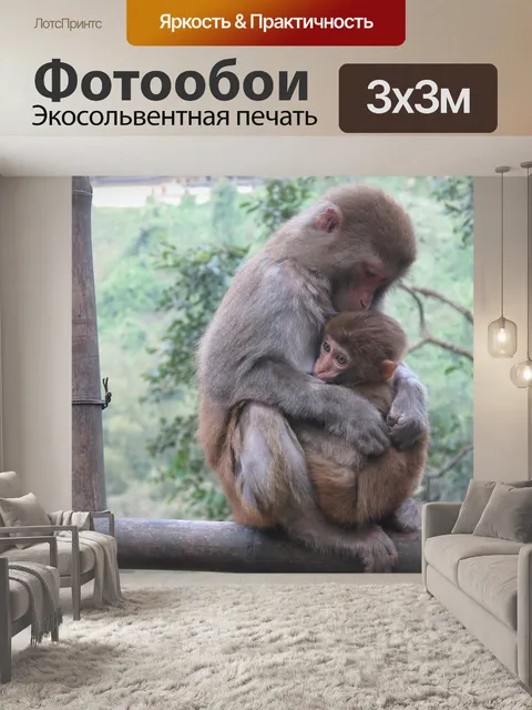 Фотообои Обезьяна, макака, животное