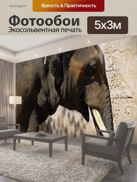 Фотообои Слон, голова слона, ствол