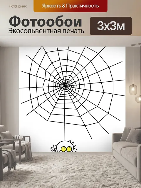 Фотообои Паутина, паутины, паук