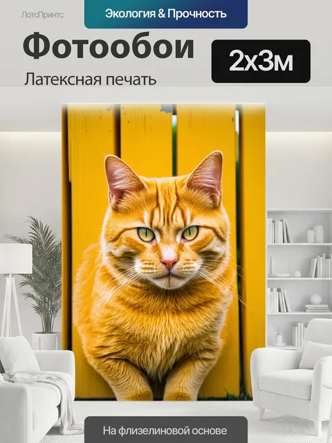 200 × 300 см · Латексная печать