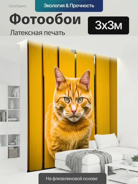 300 × 300 см · Латексная печать