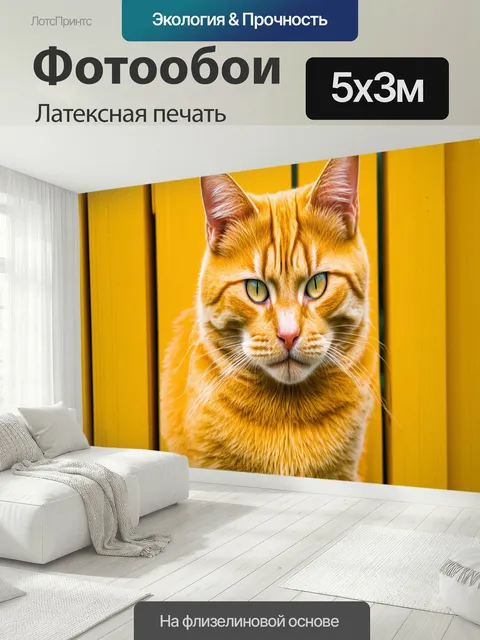 500 × 300 см · Латексная печать
