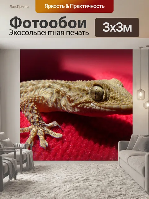 Фотообои Геккон, ящерица, рептилия