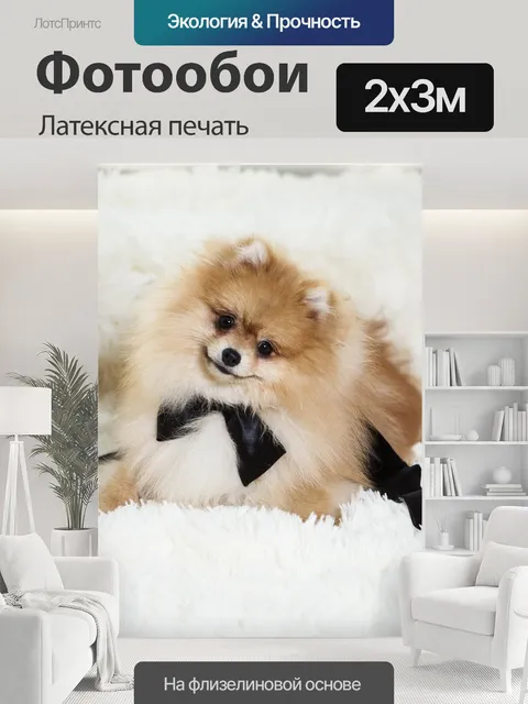 200 × 300 см · Латексная печать