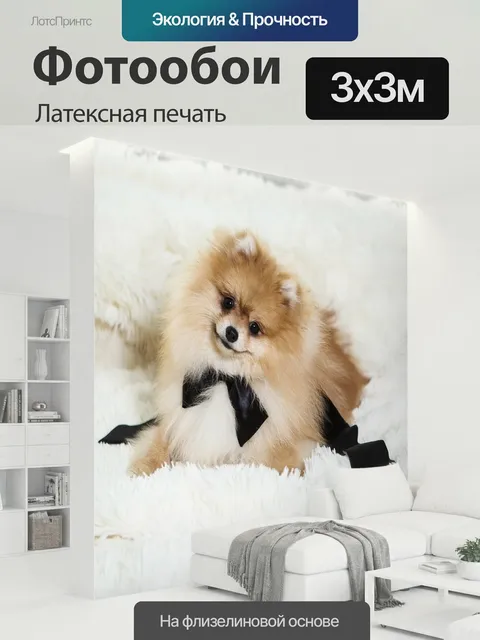 300 × 300 см · Латексная печать