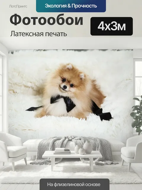 400 × 300 см · Латексная печать