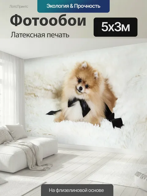 500 × 300 см · Латексная печать