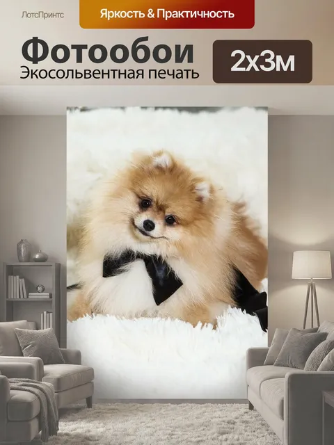 200 × 300 см · Экосольвентная печать