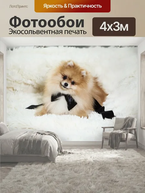 400 × 300 см · Экосольвентная печать