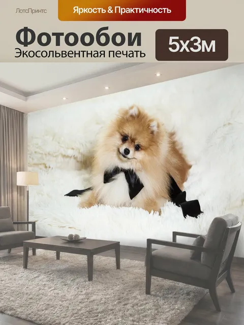 500 × 300 см · Экосольвентная печать