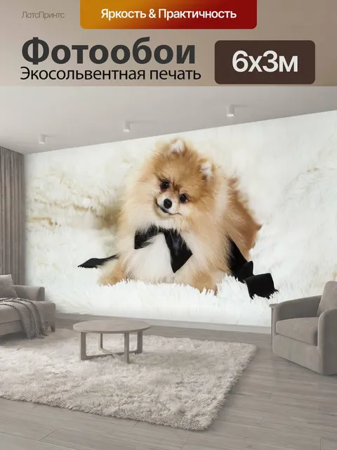 600 × 300 см · Экосольвентная печать