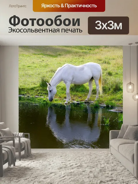 Фотообои Лошадь, животное, ферма