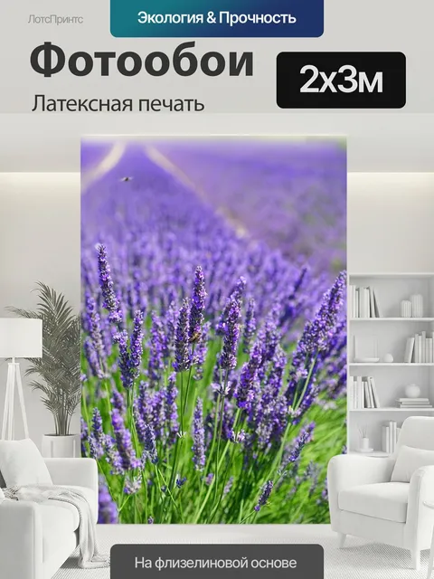 200 × 300 см · Латексная печать
