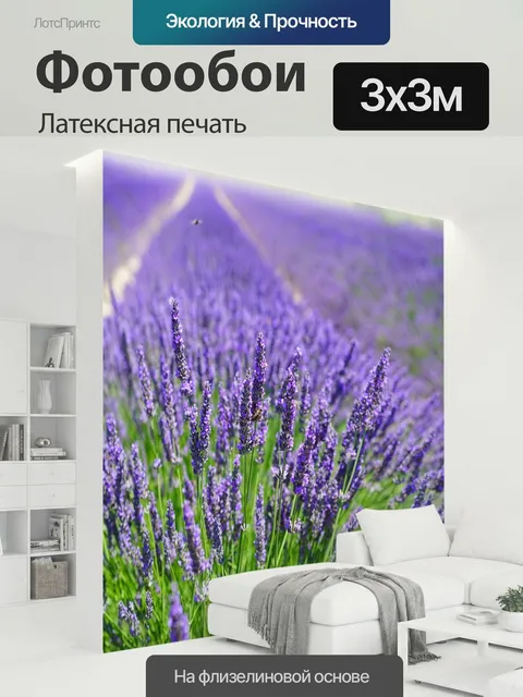 300 × 300 см · Латексная печать