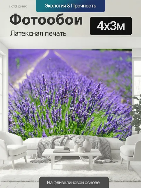 400 × 300 см · Латексная печать