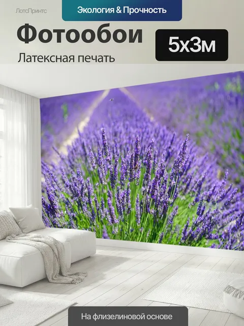 500 × 300 см · Латексная печать
