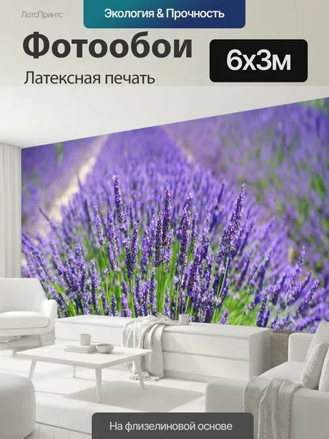 600 × 300 см · Латексная печать