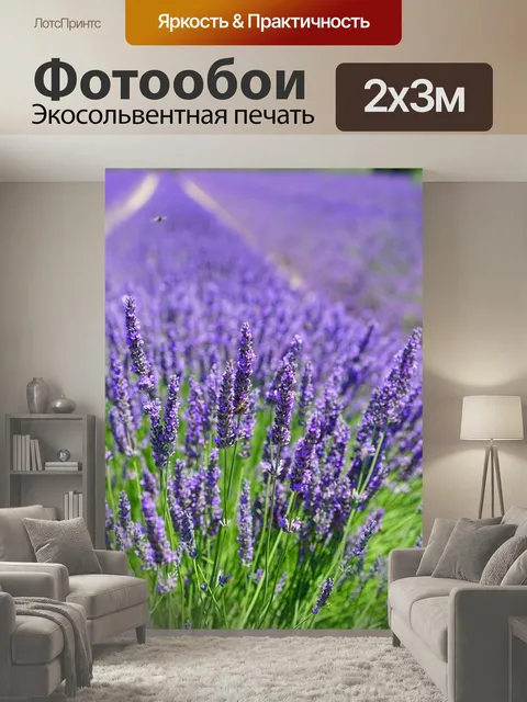 200 × 300 см · Экосольвентная печать