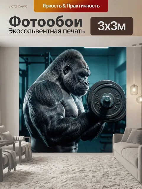 Фотообои Горилла с гантелью в зале. Мощный антропоморфный примат в спортивном интерьере выполняет силовую тренировку с…