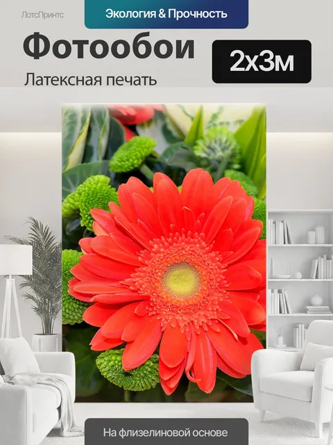 200 × 300 см · Латексная печать